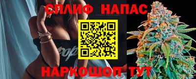 PSILOCYBIN Малгобек