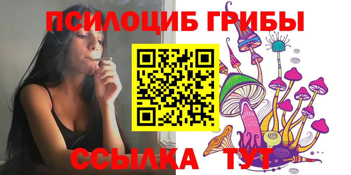 Псилоцибиновые грибы Cubensis  Вход с VPN  Энгельс 