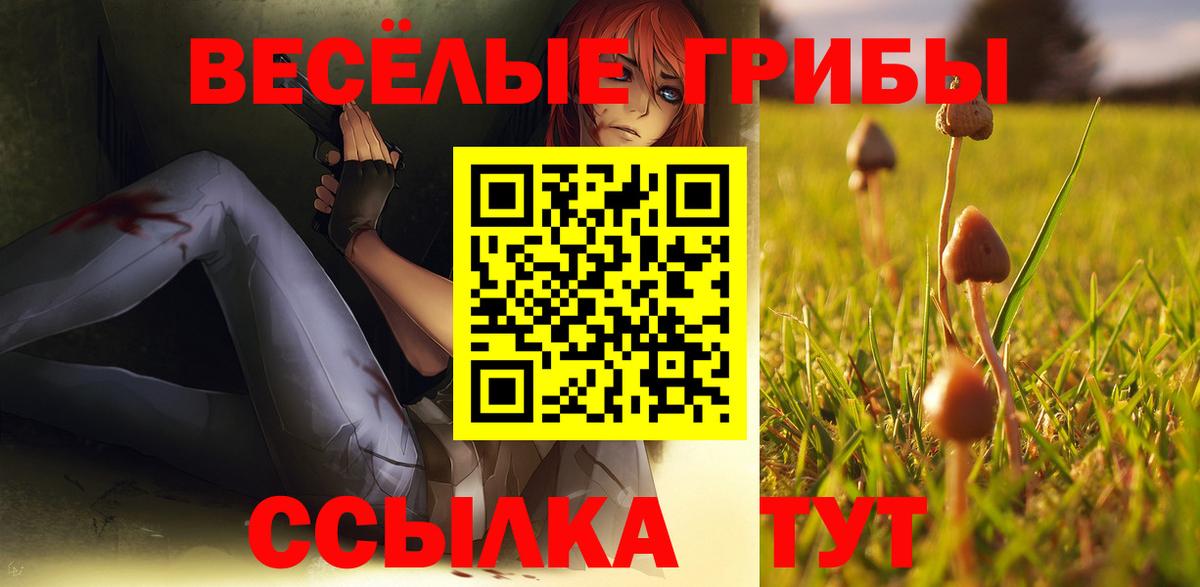 Псилоцибиновые грибы Cubensis Энгельс
